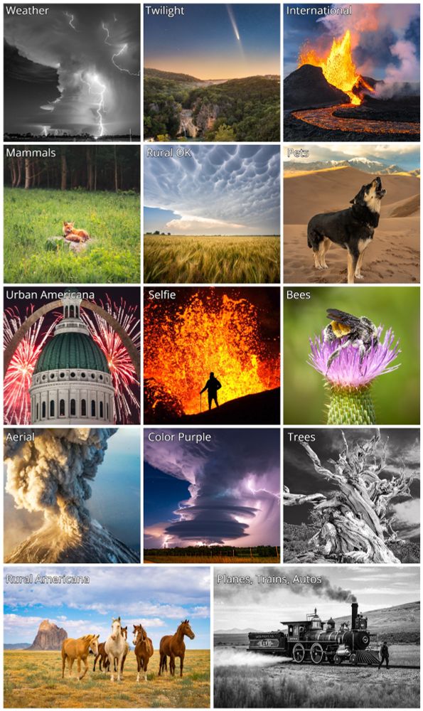 A collage of photos I entered into the state fair. Categories include weather, twilight, international, mammals, rural OK, pets, urban Americana, selfie, bees, aerial, color purple, trees, rural Americana, and trains.