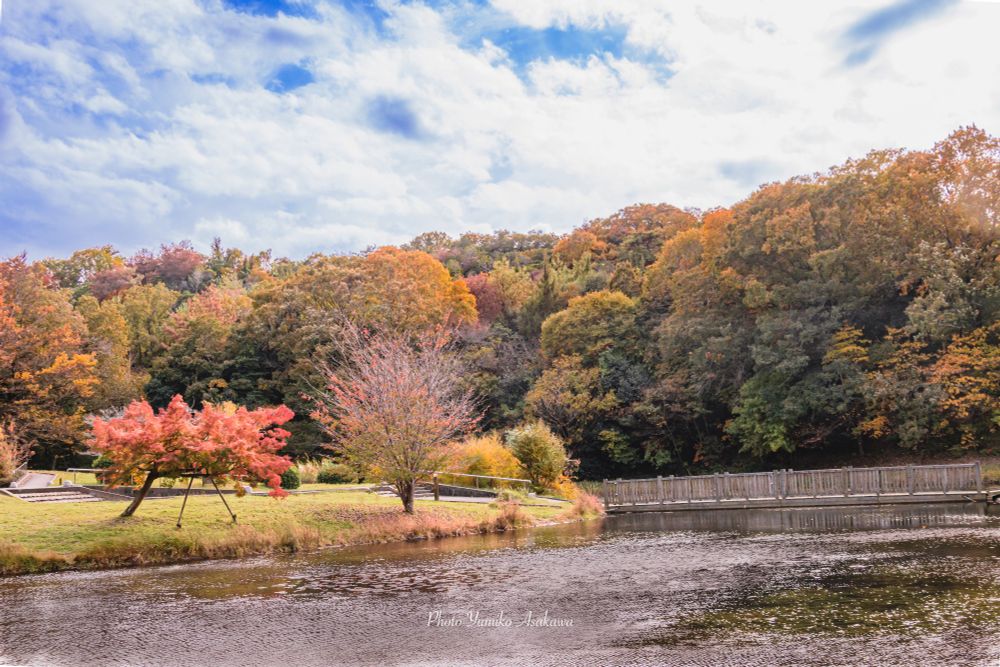 池のある公園  〜秋〜