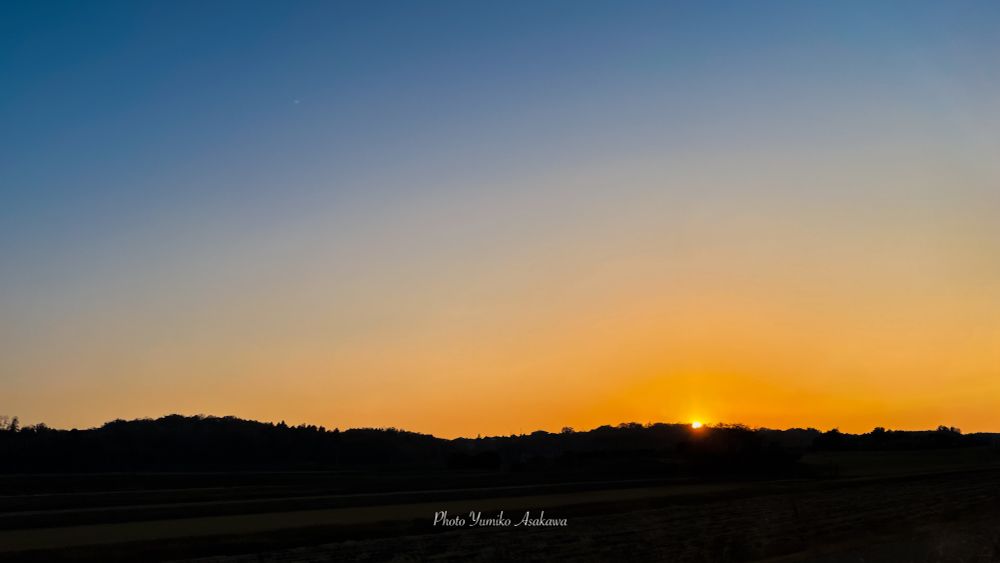 優しげな夕陽