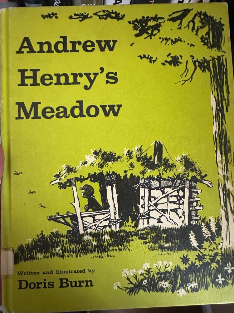 Picture of the old hardcover book "Andrew Henry's Meadow" by Doris Burn.