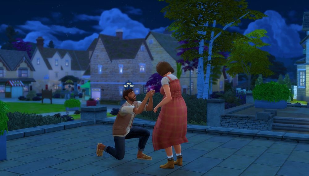 A proposal in the village