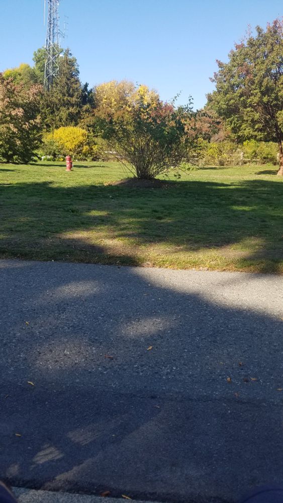 A portait framed image of a park green. The scene is divided in two by a sharp line between a cemented path and a grassy field. The cement is shadowed heavily be trees behind the photographer. A jagged opening in the shadows crosses the line between the path and grass field. Scattered within the field are several short bushy trees. On the upper third of the image past the grass, a roughcut wooden fence is visible with a treeline behind it. The trees are a mix of fall colours. The sky above is a gradient light blue with lighter white-grey tones near the treeline. A radio tower pokes out from the upper left side, its base just behind the fence. Below it (in the field) sits what appears to be a fire hydrant.