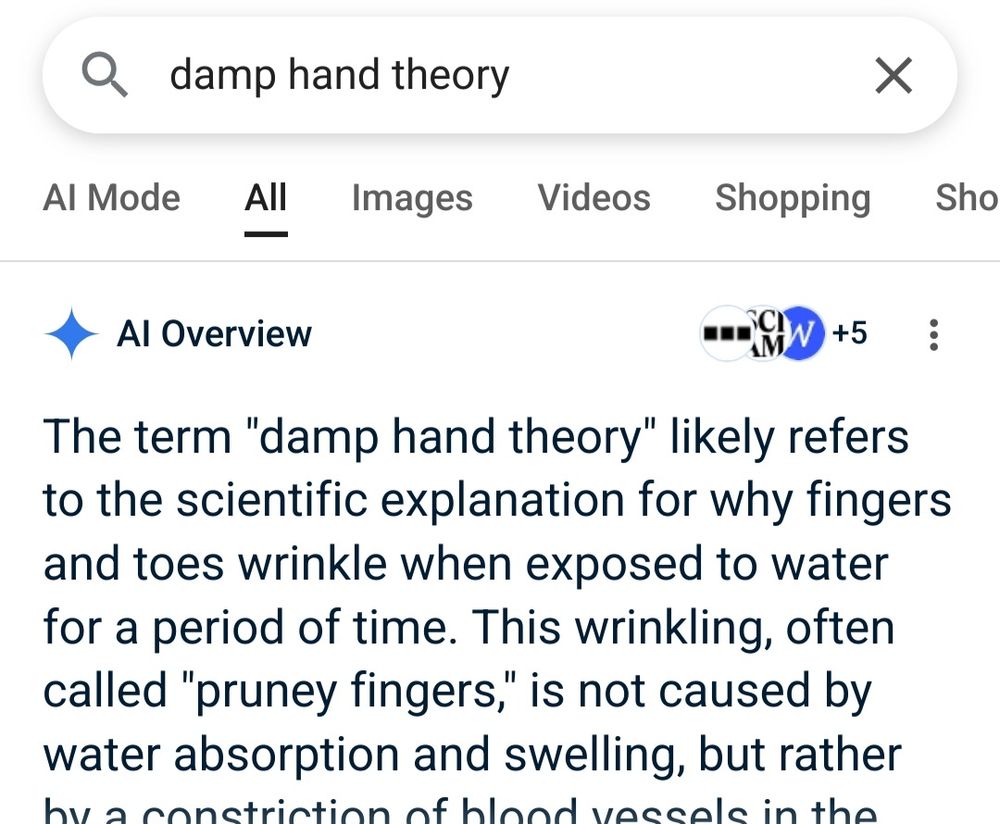 A screenshot of AI describing 'damp hand theory'. It seems to think that it's something to do with staying on the bath too long and going wrinkly. It seems that AI largely wants to tell you what you want to hear. I'm sure it has its uses.