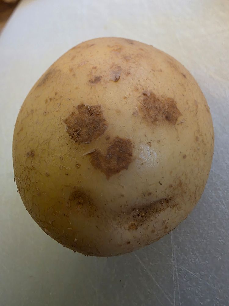 A potato with what appears to be two eyes, a nose and a smile .