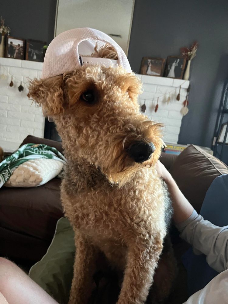 The best life today! 🐾❤️ From tail wags to happy adventures, it's all about enjoying every moment. Wishing all our friends a day as joyful as this pup’s! 🐶✨