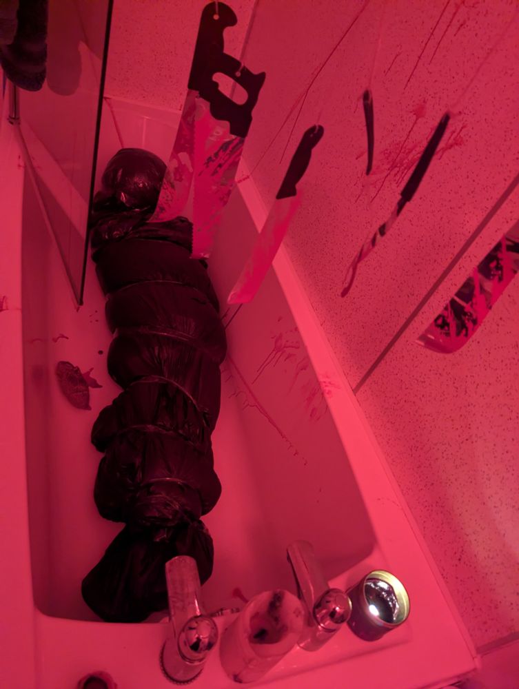 Photo of what looks like a body in the bath, wrapped in bin bags. Hanging over the bath are various blood stained saws and cleavers. The whole house is like this. We stan. 