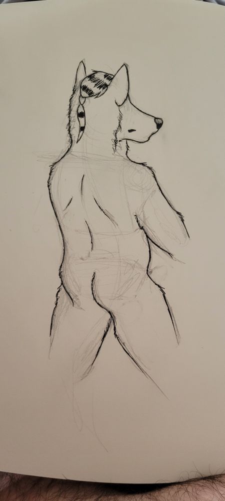 Hyena ass pen line art