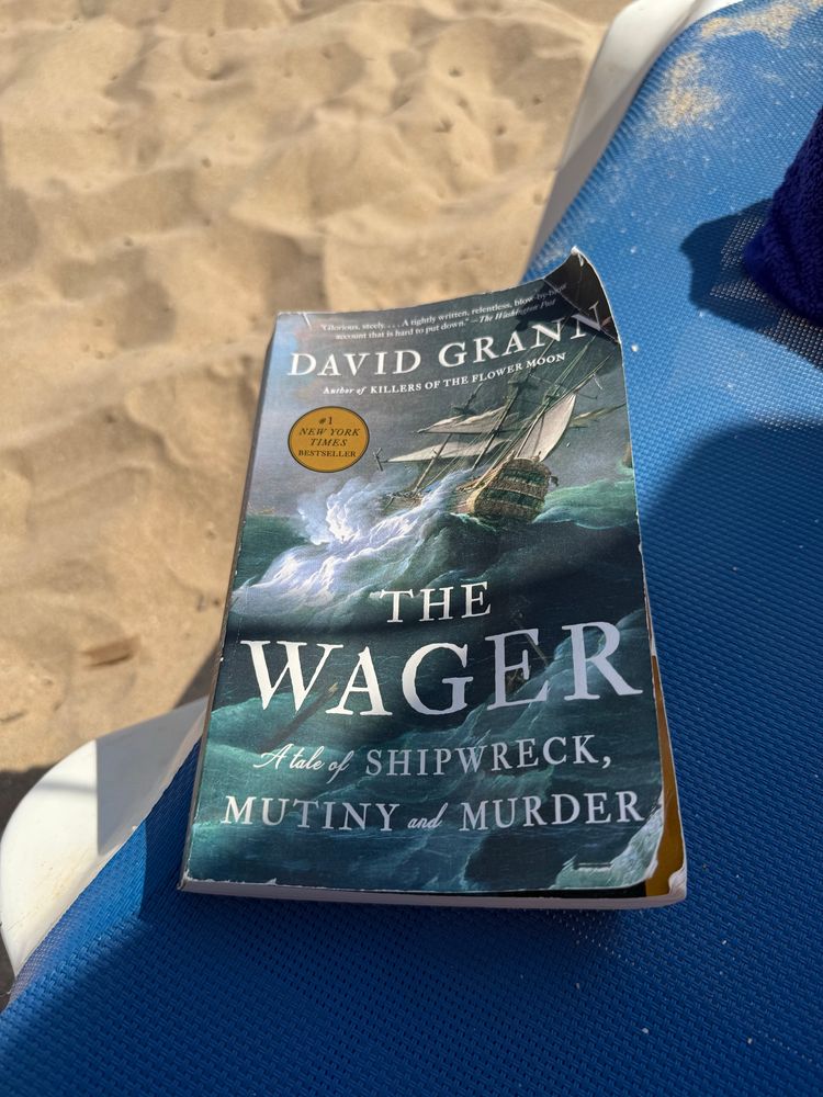 The book I’m reading on the beach