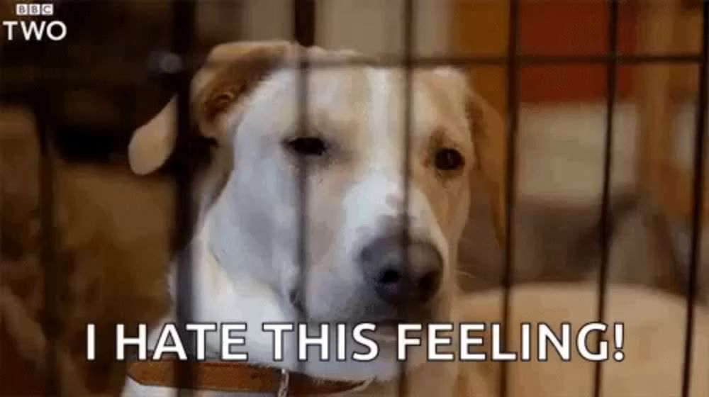 a dog is sitting in a cage with the words `` i hate this feeling '' .