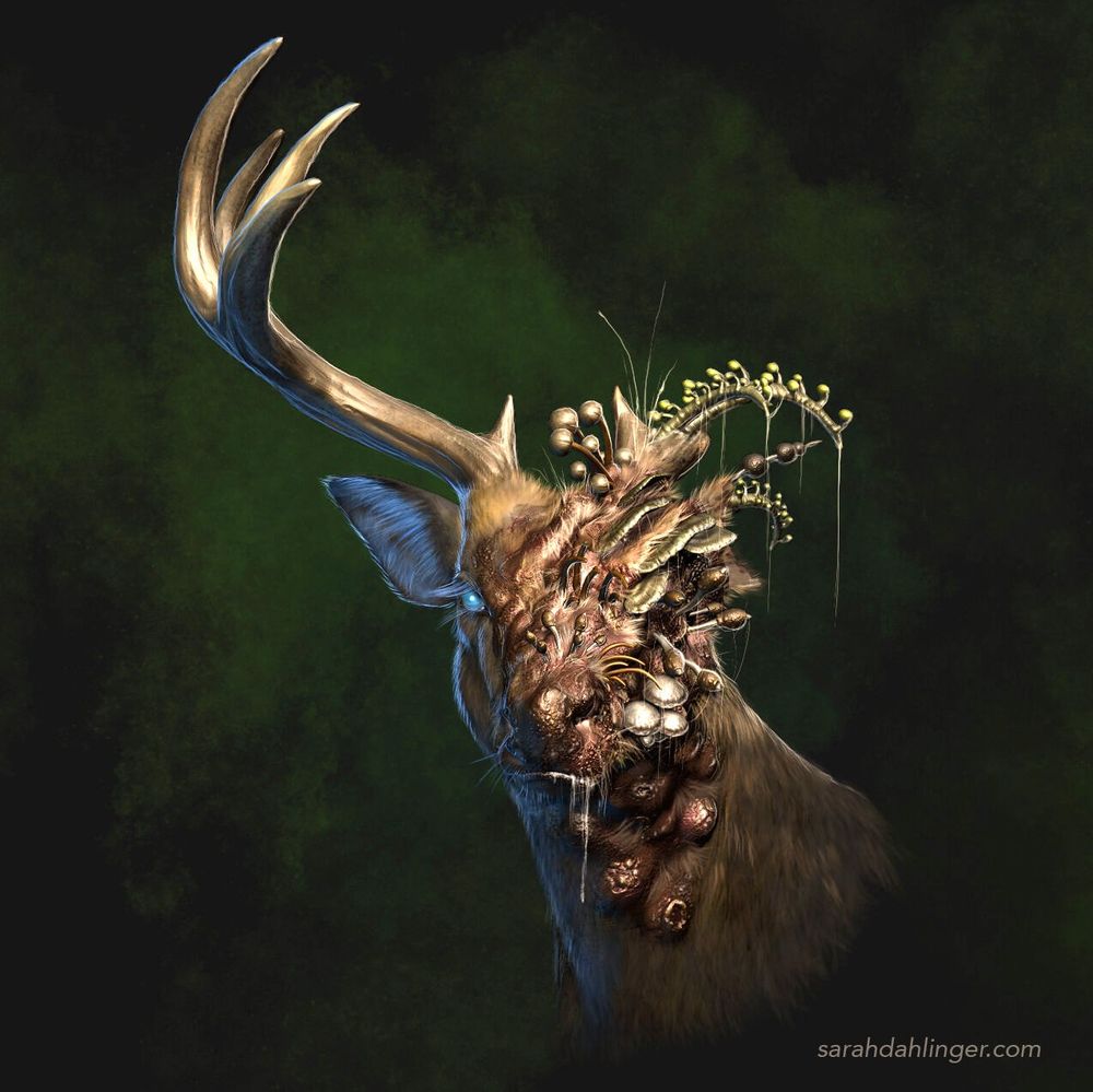 deer and half its face is fungus