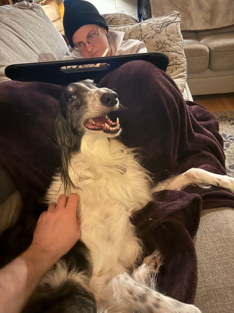 Ink with a big smile. He’s leaning on my legs 