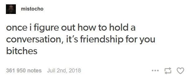A screenshot of a Tumblr post made on july 2nd, 2018 by user "mistocho." It reads: "once I figure out how to hold a conversation, it's friendship for you bitches"

The post had three hundred sixty-one thousand, nine hundred and fifty notes at time of the screenshot.