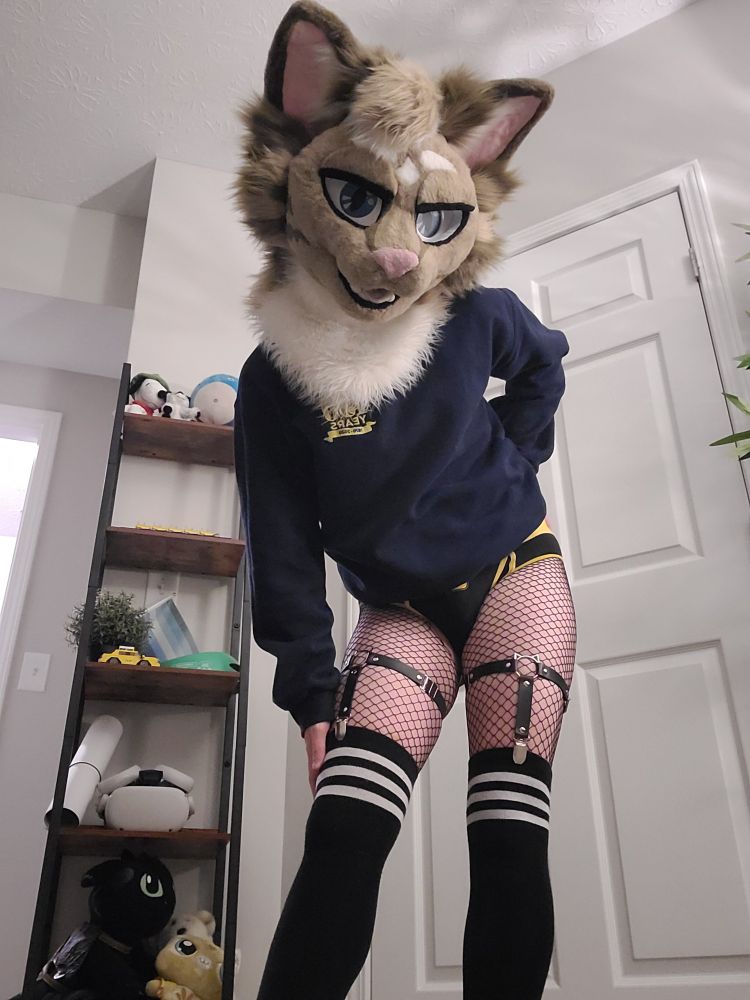 Orion with a confident-casual pose wearing a navy blue sweater, black and yellow jockstrap, cat garters, fishnets and thigh highs. He is sensually looking at the camera.