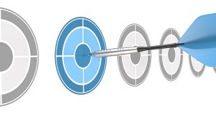 Organizational behavior and strategic business audit