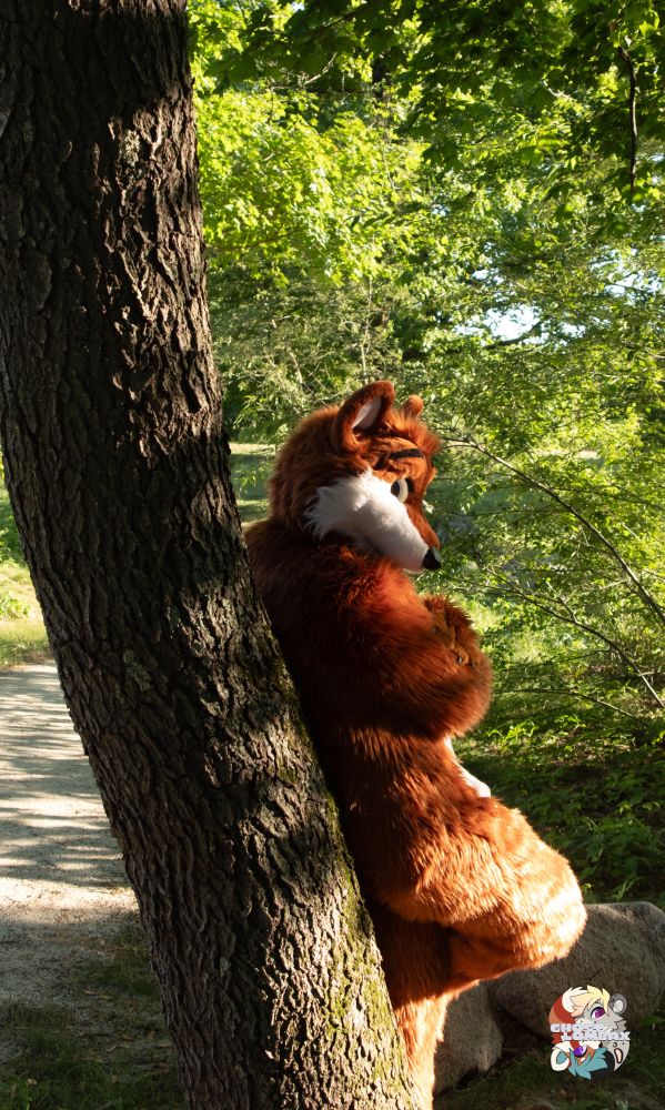 JT Wolf Fursuit standing by the tree. With some red velvet cake.