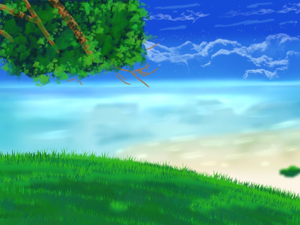 a grassy field above a beachshore