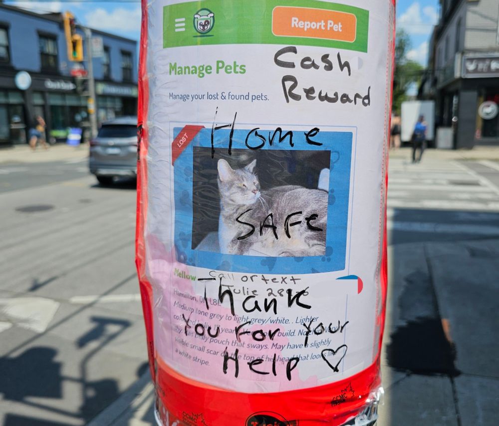 A missing cat poster on a lamppost. Someone has written on it with marker "home safe, thank you for your help ❤️"