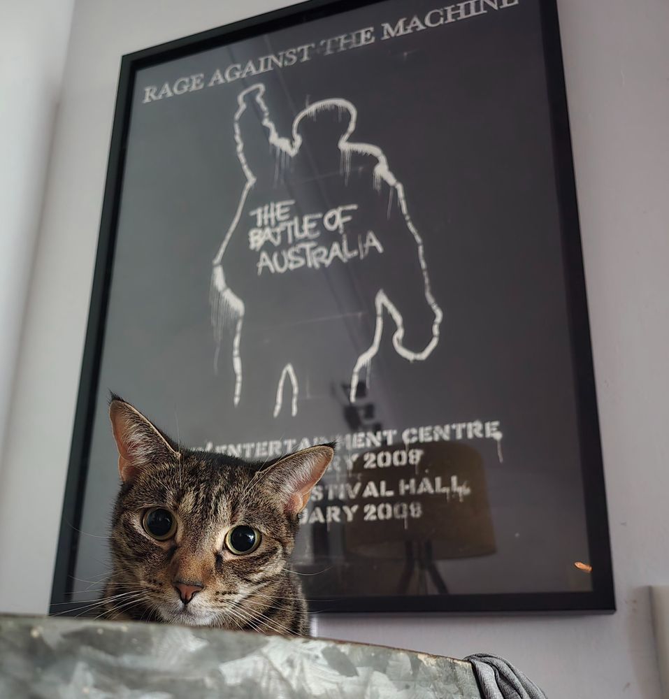 Cat in front of 2008 ratm tour poster from aus