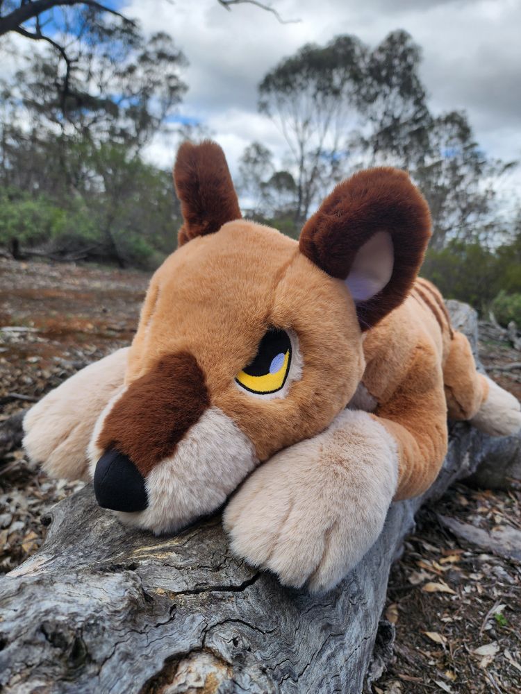 Side on face photo of a tasmanian tiger plush toy