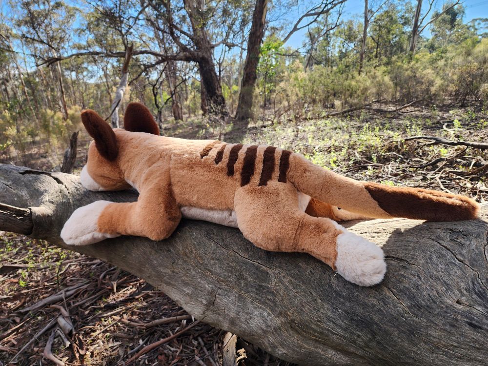 Thylacine plush facing the opposite direction on a log. 