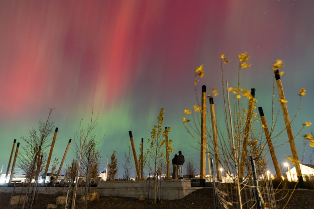 Two people watching the red and green aurora from Graco park, Minneapolis 