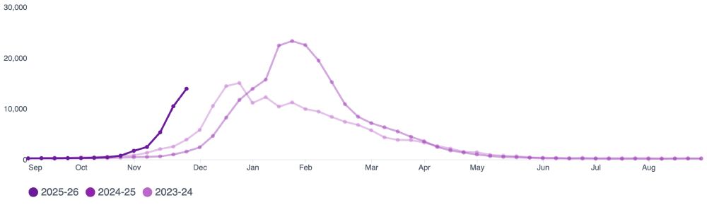 lab confirmed flu cases by year, nyc