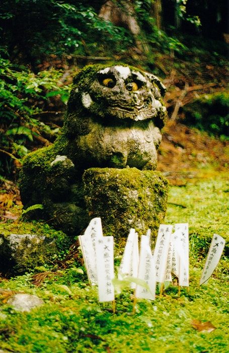 Un komainu couvert de mousse, il est posé sur le sol, lui aussi moussu. Il lui manque les deux pattes avant et il repose sur une pierre carrée, elle aussi moussu. Devant le komainu, par terre, sont plantés des petits drapeaux verticaux en papier blanc avec des inscriptions. Dernier truc notable de ce komainu, il louche.