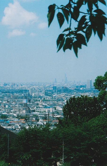 Vu d'en haut d'Osaka avec au premier plan de la forêt.