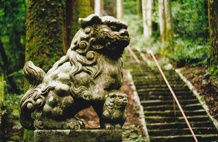 Permier plan un komainu de profil, sous sa patte avant droite il y a un petit qui nous fait face même s'il a la tête tournée dans la même direction que l'adulte. En arrière plan des grands troncs indiquent que l'on est dans une forêt et à droite de l'image un escalier en pierre moussu.