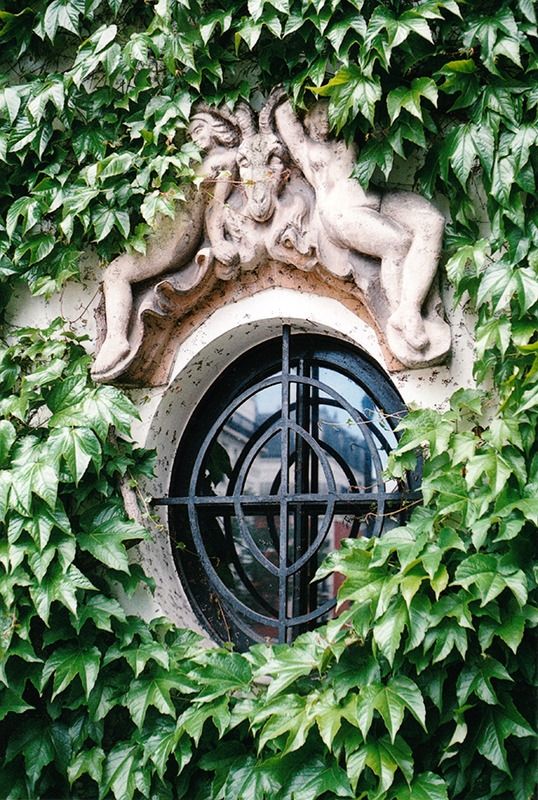 Une fenêtre ovale fermée par une grille en fer forgé. Au dessus une sculpture en pierre, deux femmes nues encadrant une tête de bouc. Il y a de la vigne vierge tout autour.