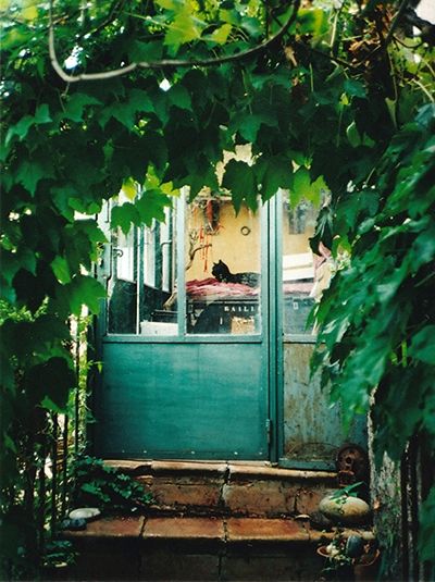 Un tunnel de verdure mène à quelques marches et la porte vitrée en metal vert d'une véranda. Tout au fond, on devine un chat noir couché sur une pile de linge posé sur un meuble.