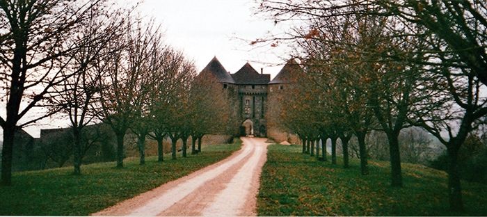 Une route en terre bordées d'arbres, mène à un château médiéval. On comprend que c'est l'hiver car les arbres n'ont pas de feuilles.