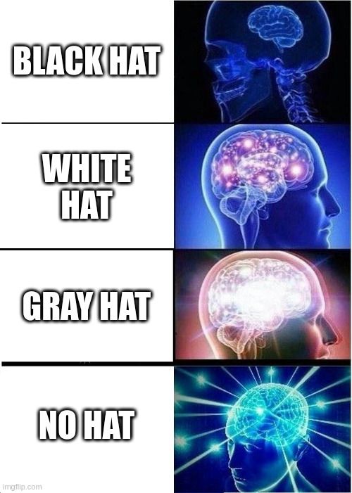 expanding brain meme with the four brains from smallest brain to galaxy brain progressively labelled, "black hat", then "white hat", then "gray hat", and finally, "no hat".