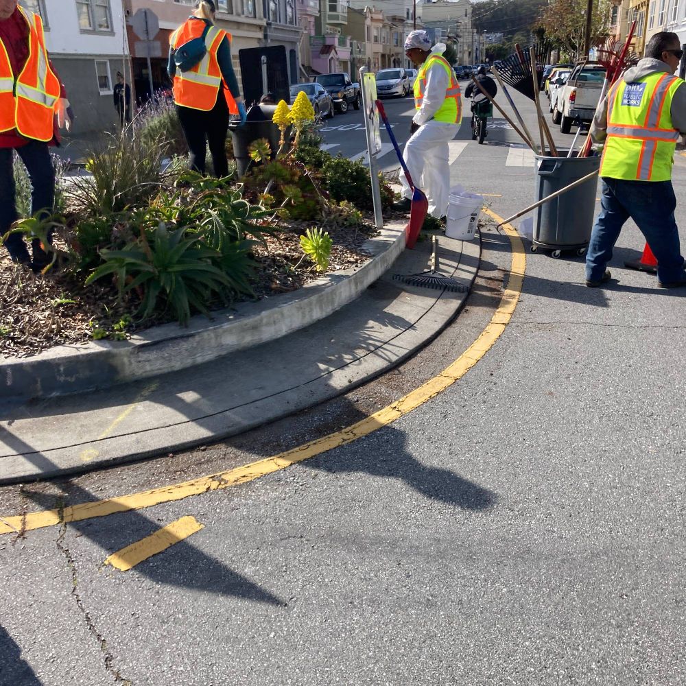 A photo of San Francisco Public Works staff and volunteers at work on the 23rd Ave and Anza Street traffic circle, weeding and pruning and generally tidying up the green island for spring