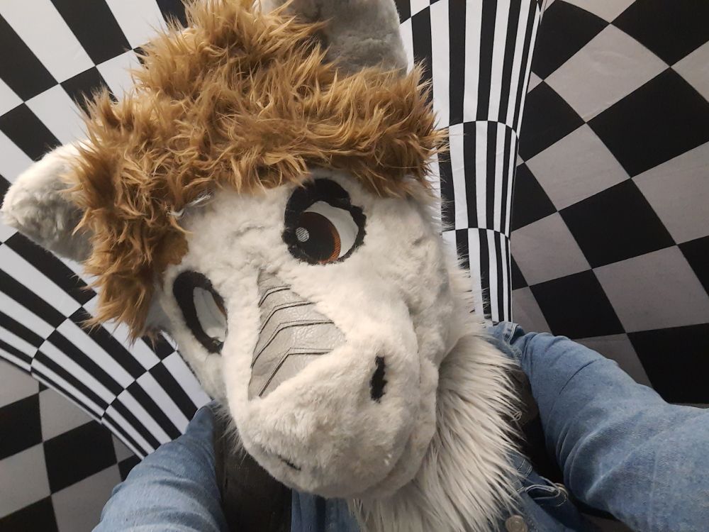 a fluffy dragon fursuiter in a strange mysterious land