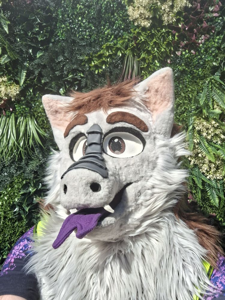 A fluffy dragon in front of a green grassy wall