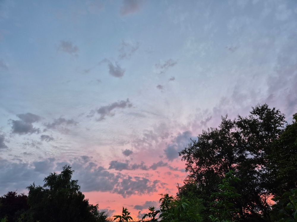 Abendhimmel mit Sonnenuntergang und Bäumen.