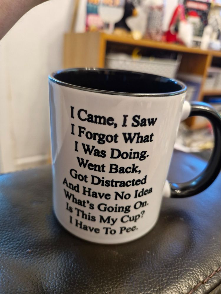 A mug which reads:
I came, I saw,
I forgot what
I was doing.
Went back,
Got distracted,
And have no idea,
Whats going on
Is this my cup?
I have to pee.