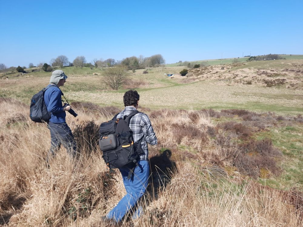 A friend and I approaching the adder in image 2