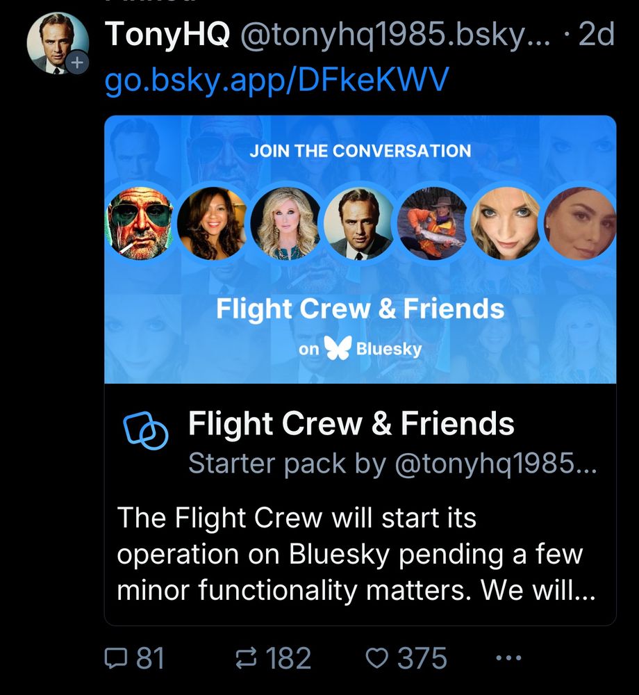 Screenshots of a starter pack by @tonyhq called “Flight Crew & Friends”