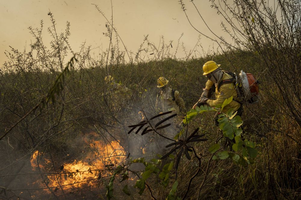 Brigadistas ganham R$ 1.412 para combater chamas no Brasil