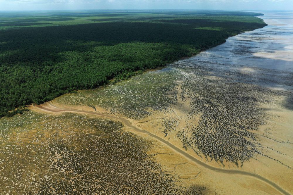 Petrobras vê licença para Foz do Amazonas ainda em 2024: 'não tem mais argumento', diz diretora