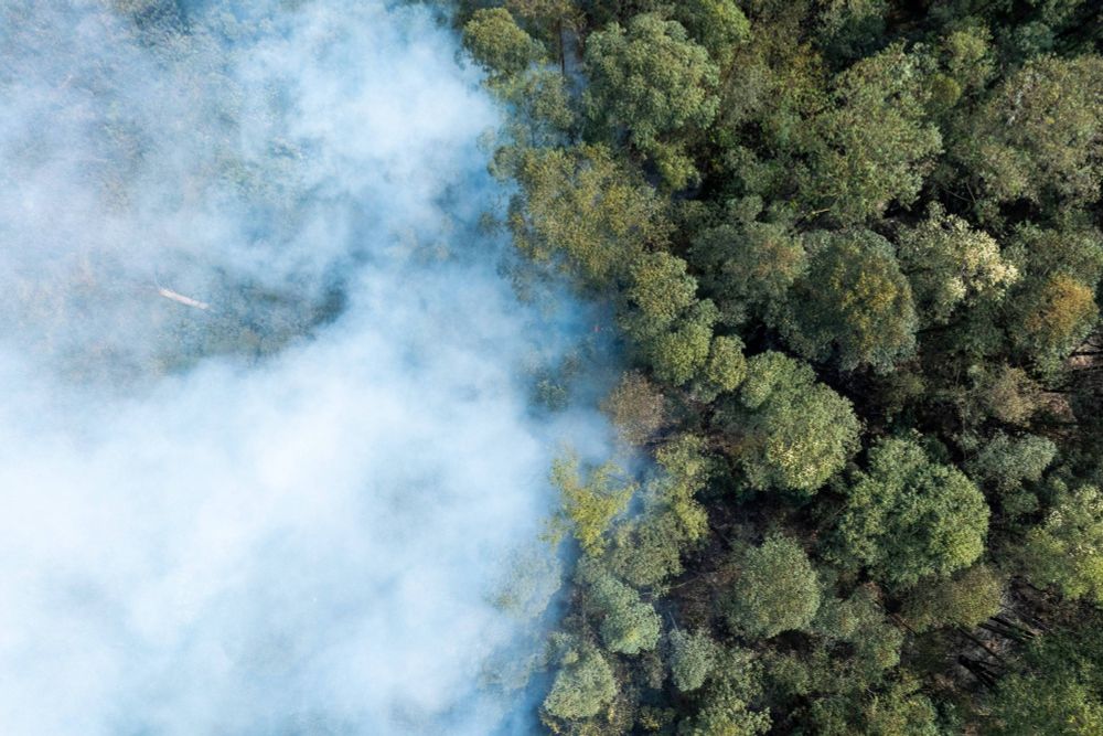 'Somos todos idiotas ao compactuar com nosso fim', diz leitor sobre incêndios