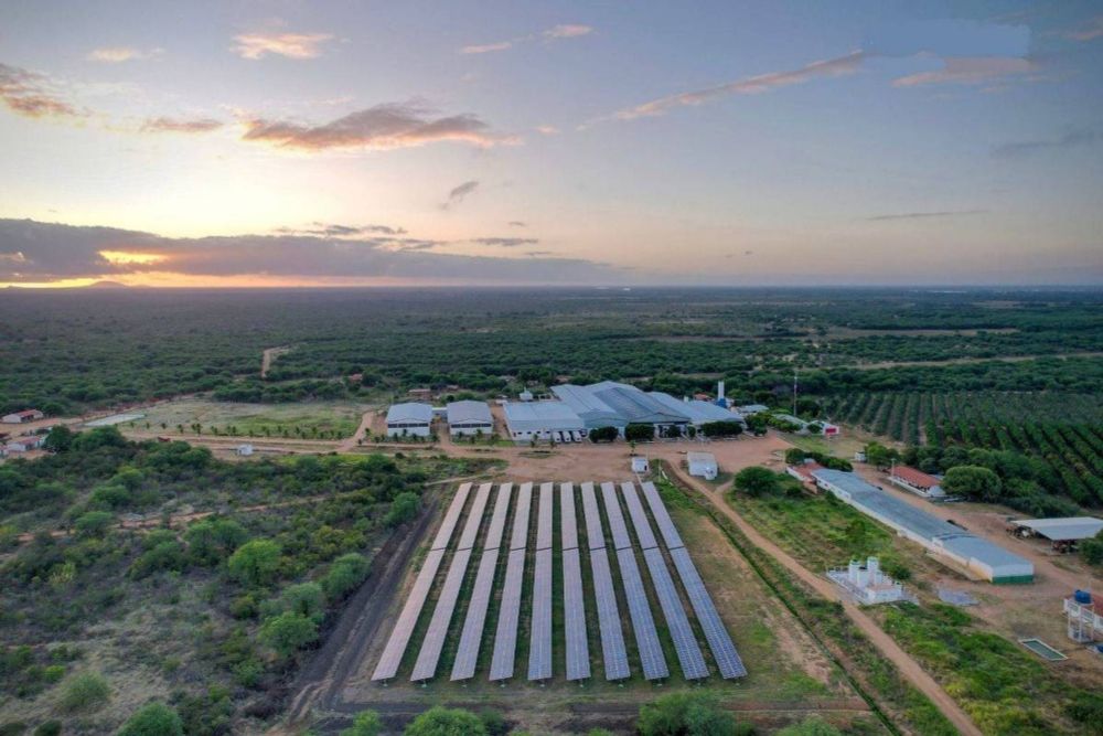 Energia solar deve atender maior parte de aumento da demanda por eletricidade na Europa neste inverno