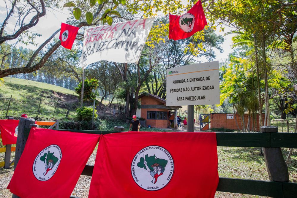 Painel: MST contabiliza 120 candidatos ligados ao movimento eleitos