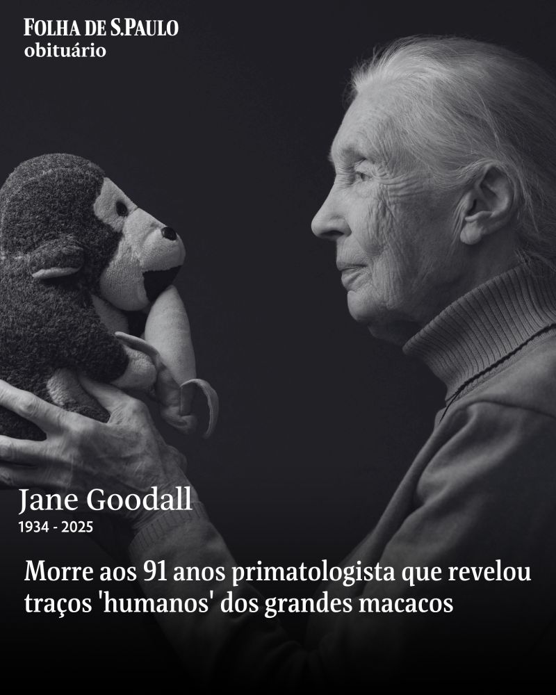 #PraTodosVerem: Fotografia em preto e branco mostra a primatologista Jane Goodall, mulher branca de cabelos brancos, segurando um macaco de pelúcia, o mister H, em uma sessão de fotos em Paris, em outubro de 2024. Sobre a imagem há o texto: "JANE GOODALL (1934 - 2025) Morre aos 91 anos primatologista que revelou traços 'humanos' dos grandes macacos"
