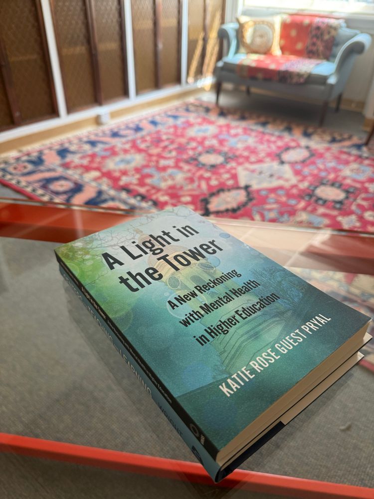 Cover of Katie’s book called A light in the tower