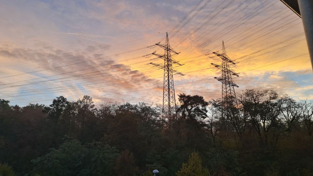Wolken werden über dem Wald von der aufgehenden Sonne orange eingefärbt. In der Mitte hohe Strommmasten.