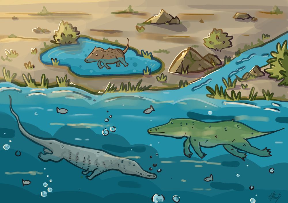Cartoon graphic of prehistoric whales with hair and tails.