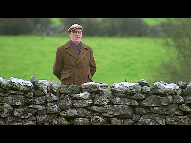 A man stands as if in judgement, behind a low stone wall with a countryside backdrop, his hands behind his back.